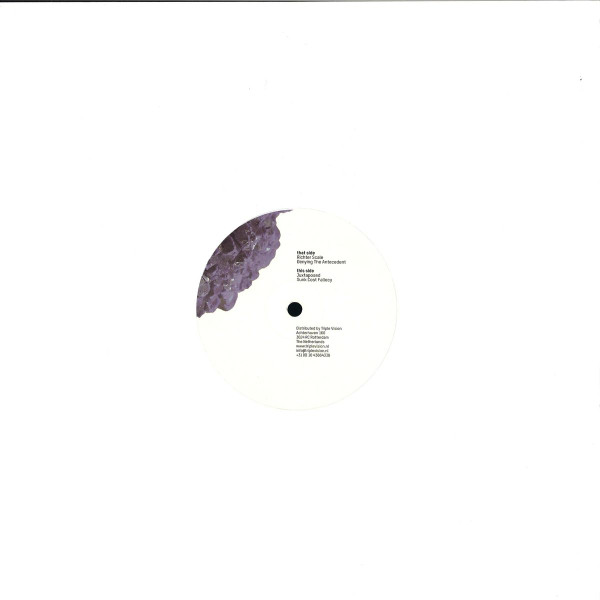 Dubiosity - Denying The Antecedent | Planet Rhythm Records (PRRUKWHT 009)