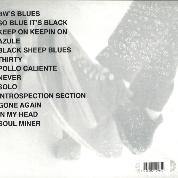 Tommy Guerrero - Loose Grooves & Bastard Blues | Rush! Production (RUSH-00001-LP) - 2 Tommy Guerrero - Loose Grooves & Bastard Blues | Rush! Production (RUSH-00001-LP) - 2