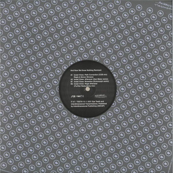 Israel Vines - And Now We Know Nothing Remixed. | Interdimensional Transmissions (IT 47) - 3 Israel Vines - And Now We Know Nothing Remixed. | Interdimensional Transmissions (IT 47) - 3