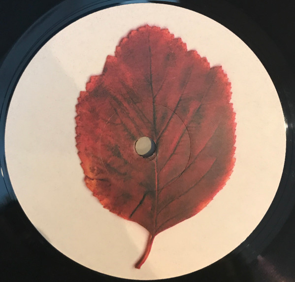 Luger - Pass Agent | Leaf (DOCK 3) - 2