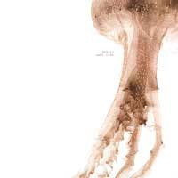 Nedjev - Amoe / Cane | Engelszorn (seraphim 01) - 4