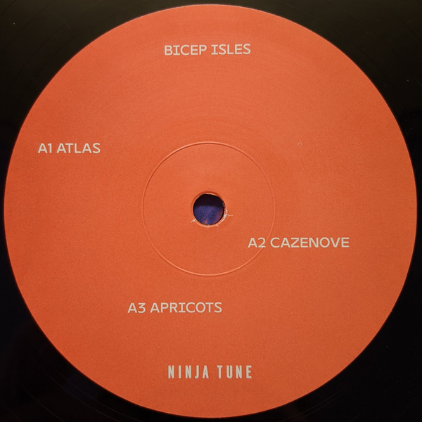 Bicep - Isles | Ninja Tune (ZEN261) - 3 Bicep - Isles | Ninja Tune (ZEN261) - 3