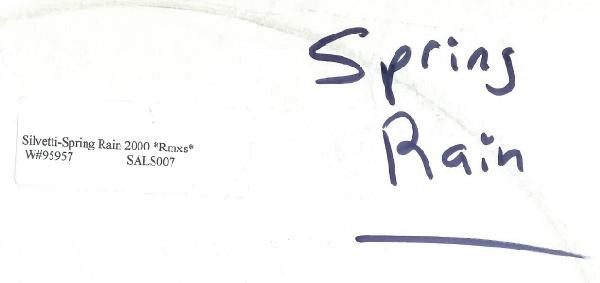 Bebu Silvetti - Spring Rain (2000 Remixes) | Dipiù (SALS 007) - 3