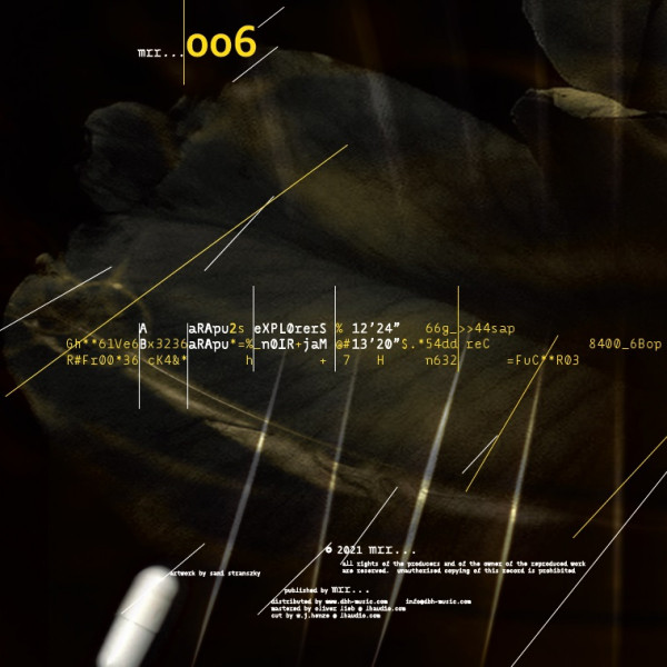 Arapu - Back 2 Bass | Midi Records Romania (MRR006) - 2