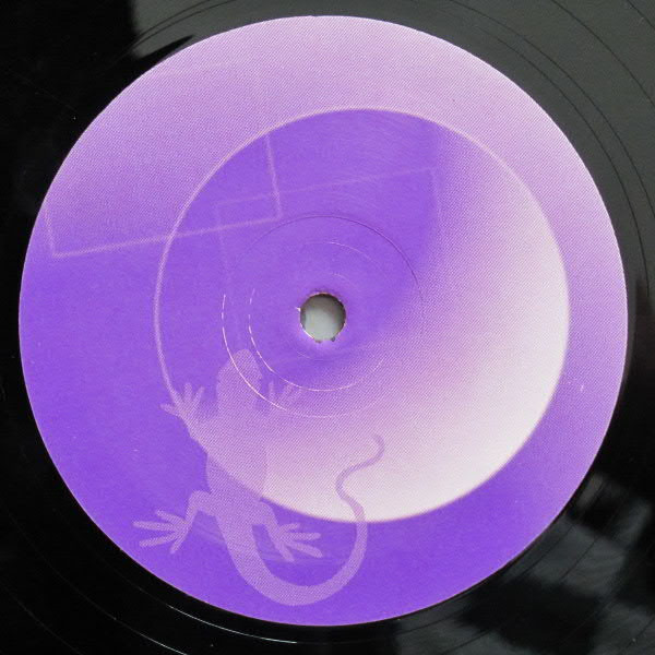 Kinky Roland - Pollution Volume 5 | Eidechse Records (EIDEX 005T) - main