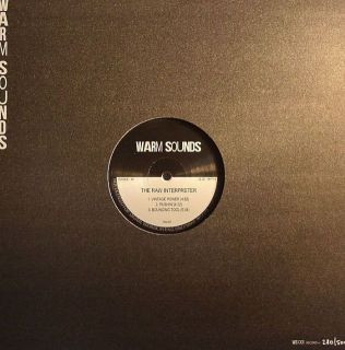 The Raw Interpreter - Vintage Power | Warm Sounds (WS-001) - 2