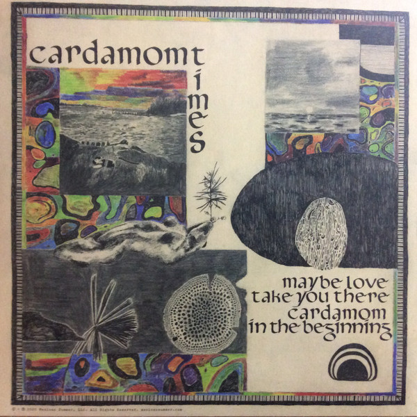 Weyes Blood - Cardamom Times | Mexican Summer (MEX209) - 2