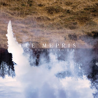Le Mépris - As You Lay To Die | A Quick One Records (AQO_MX40)