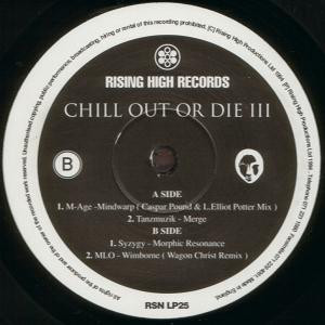 Various - Chill Out Or Die III | Rising High Records (RSN LP25) - 4 Various - Chill Out Or Die III | Rising High Records (RSN LP25) - 4