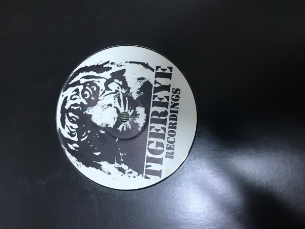 DJ Rooster & Sammy Peralta - Take Control | Tigereye Recordings (TER001) - main DJ Rooster & Sammy Peralta - Take Control | Tigereye Recordings (TER001) - main