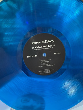Steve Kilbey - Of Skins And Heart  Acoustic Sessions Vol.1 LP - BLUE | Public (PUBLIC0040) - 4