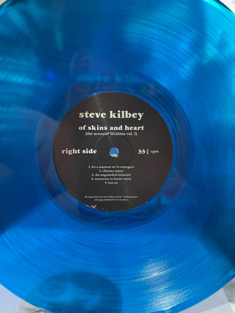 Steve Kilbey - Of Skins And Heart  Acoustic Sessions Vol.1 LP - BLUE | Public (PUBLIC0040) - 3
