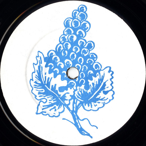 Iris - Appendix Ep | Aliénor Records (Alien γ [gamma]) - 4