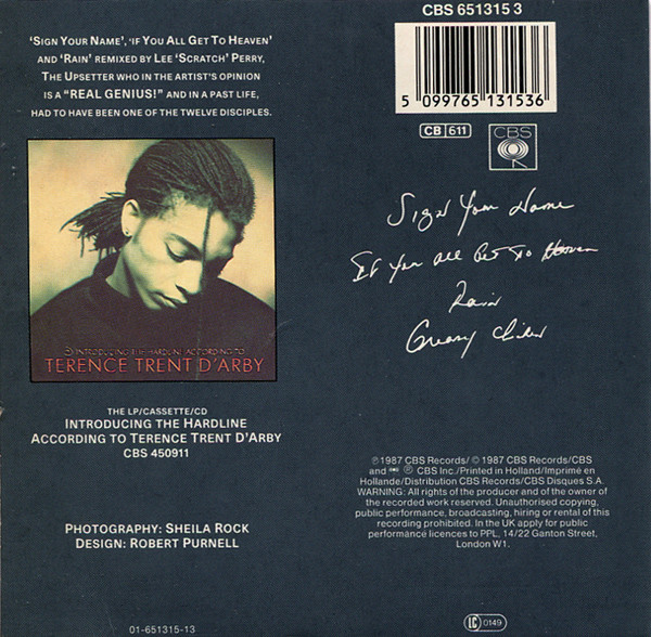 Terence Trent D'Arby - Sign Your Name (Lee 'Scratch' Perry Remixes) | CBS (651315 3) - 3
