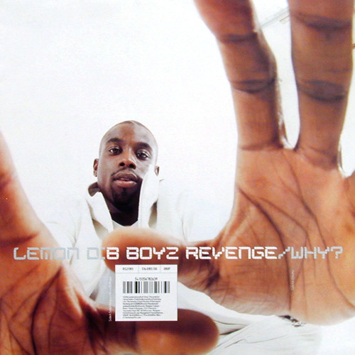 Lemon D - B Boyz Revenge / Why? | R & S Records (RS 21183)