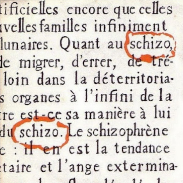 Schizo - Le Voyageur / Torcol | Disjuncta (none)