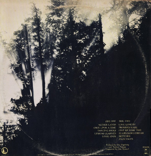Dan Fogelberg - Nether Lands | Epic (EPC 81574) - 2