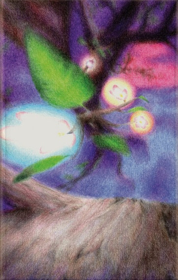 Ursula Sereghy - Cordial | Mondoj (MONDOJ28) Ursula Sereghy - Cordial | Mondoj (MONDOJ28)