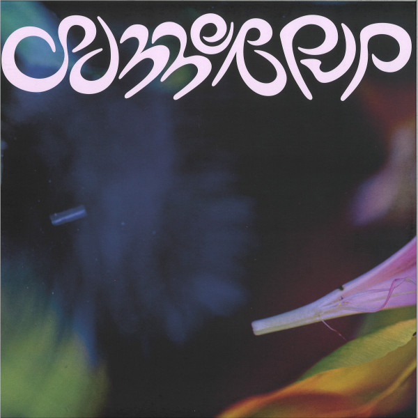 D.Dan - summerpup | summerpup (PUP001) - main