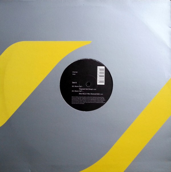 Björk - Alarm Call | One Little Indian (232tp12p4) - main Björk - Alarm Call | One Little Indian (232tp12p4) - main