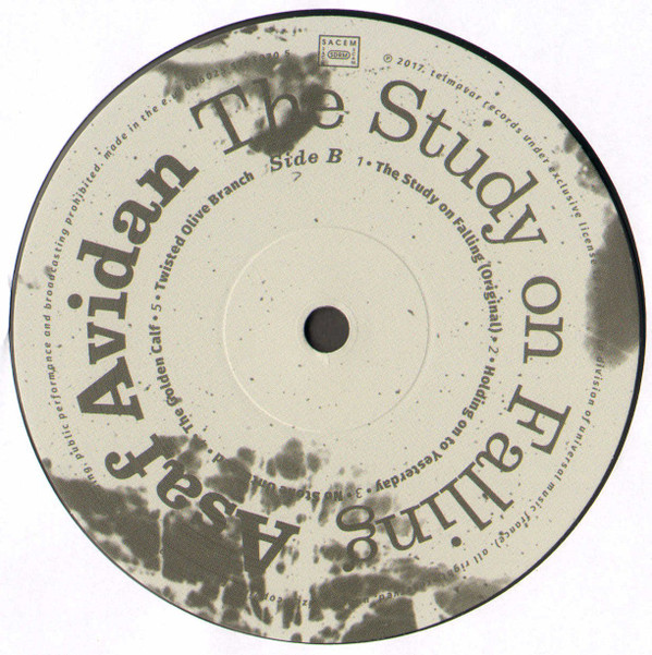 Asaf Avidan - The Study On Falling | Polydor (006025 5783070 5) - 3