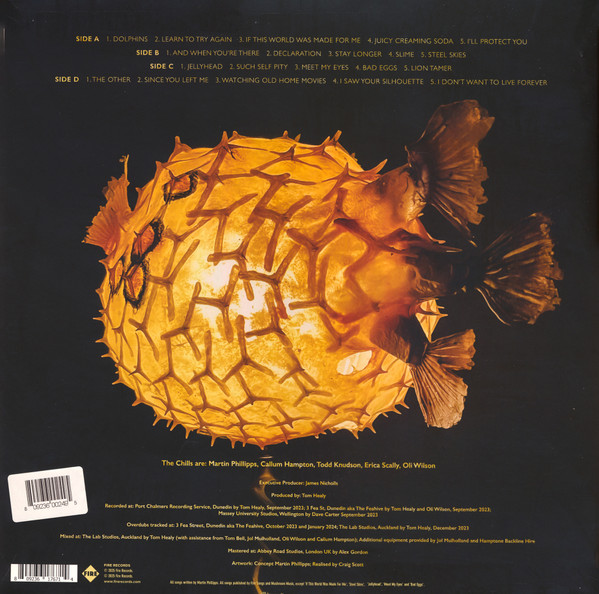 The Chills - Spring Board (The Early Unrecorded Songs) 2LP | Fire Records (FIRELP767) - 2 The Chills - Spring Board (The Early Unrecorded Songs) 2LP | Fire Records (FIRELP767) - 2