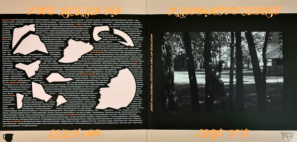 Mitski - The Land Is Inhospitable And So Are We | Dead Oceans (DOC 350) - 4 Mitski - The Land Is Inhospitable And So Are We | Dead Oceans (DOC 350) - 4
