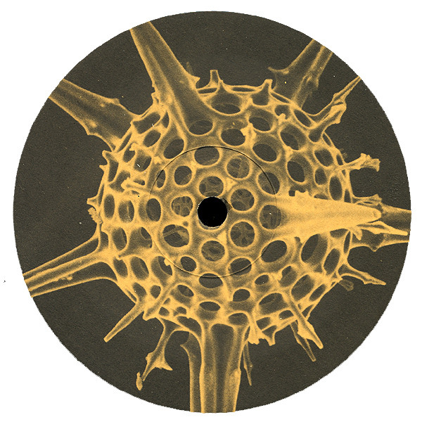 Evolution - Cuzco / Beach-Sound-Water-Palms-Stars-Space | Gaia Tonträger (GT 006) - 2