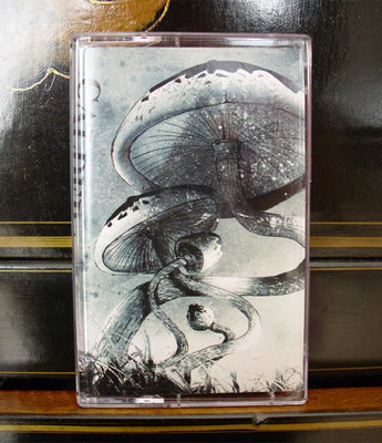 Caldera Lakes - Live At Odgen Theatre | DOKURO (DK035)
