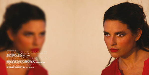 Javiera González - Meet Me Twice | Non Standard Productions (NSP 12)
