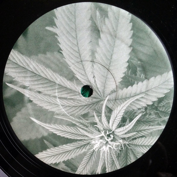 Plus Two - Shades Of Dank | Peaches Music (SOD001)