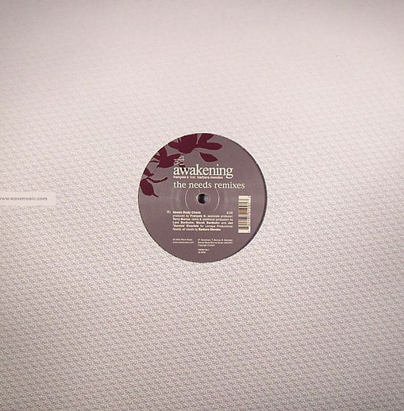 Awakening (The Needs Remixes)