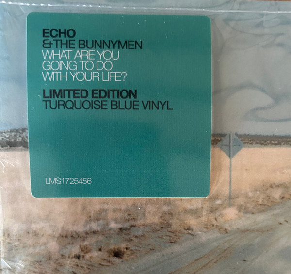 Echo & The Bunnymen - What Are You Going To Do With Your Life? | London Records (LMS1725456) - 3
