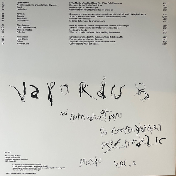 Various - Vapordub: An Introduction To Contemporary Psychedelic Music - Vol. 1 | Bamboo Shows (BST003)