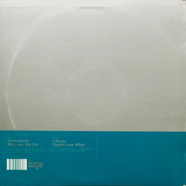 Kerri Chandler - Digitalsoul (Session One) | Large Records (LAR-043) - 2 Kerri Chandler - Digitalsoul (Session One) | Large Records (LAR-043) - 2