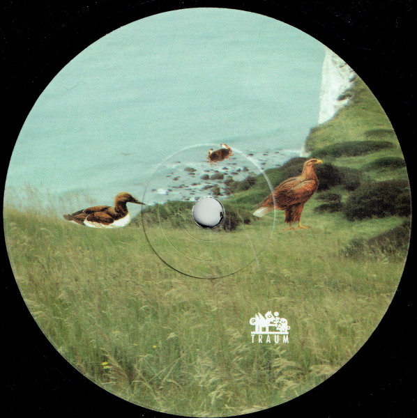 Dominik Eulberg - Flora & Fauna | Traum Schallplatten (TRAUM V53) - 4 Dominik Eulberg - Flora & Fauna | Traum Schallplatten (TRAUM V53) - 4