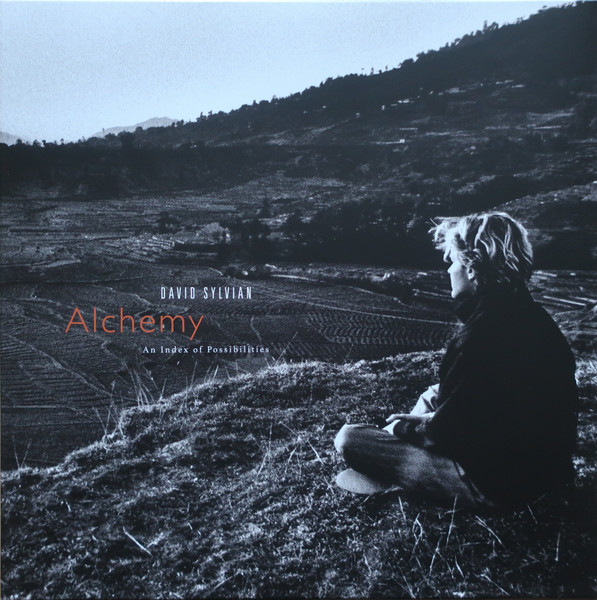David Sylvian - Alchemy An Index Of Possibilities LP | Virgin EMI Records (INTGDS00037LP) - main David Sylvian - Alchemy An Index Of Possibilities LP | Virgin EMI Records (INTGDS00037LP) - main