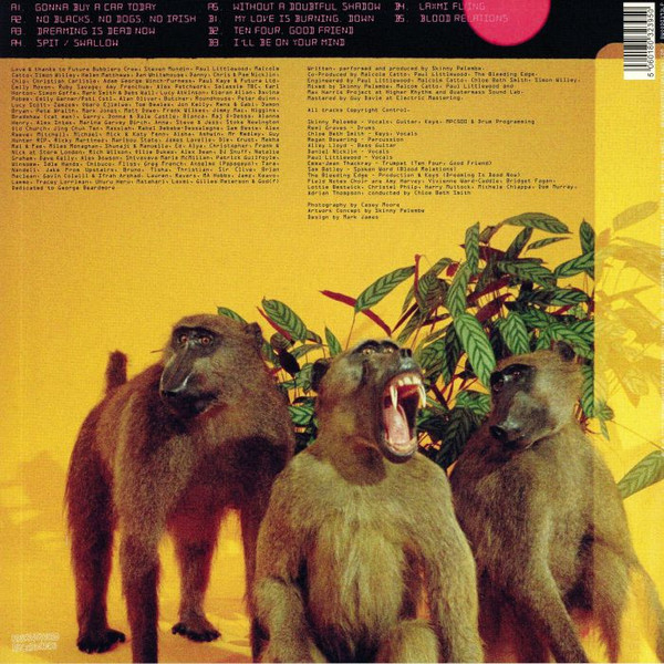 Skinny Pelembe - Dreaming Is Dead Now | Brownswood Recordings (BWOOD0193LP) - 2 Skinny Pelembe - Dreaming Is Dead Now | Brownswood Recordings (BWOOD0193LP) - 2