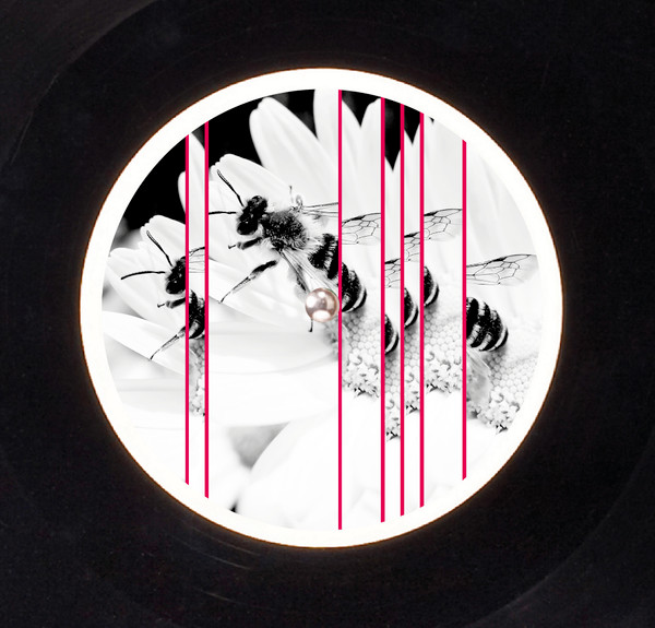 A Thin Man - Bees‘n‘Flowers | Justracks (JT001) - 2 A Thin Man - Bees‘n‘Flowers | Justracks (JT001) - 2