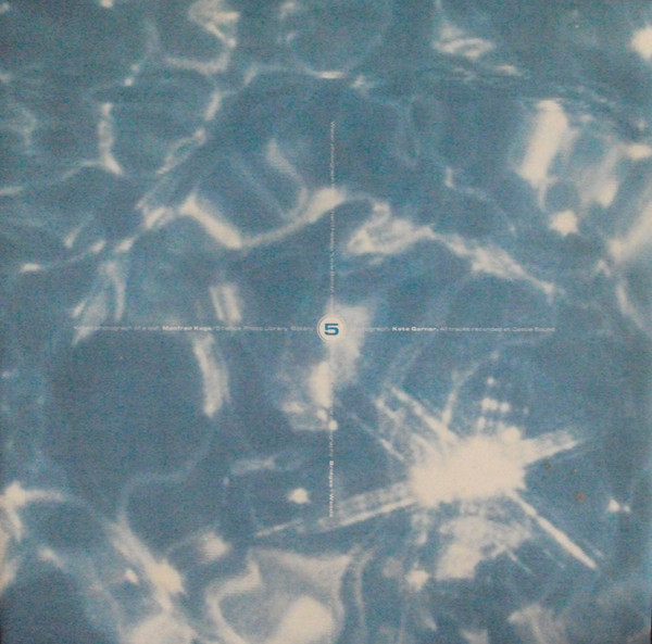 Botany 5 - Into The Night | Virgin (V 2664)