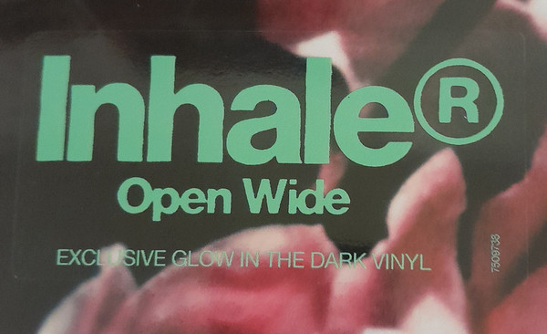 Inhaler - Open Wide | Polydor (7509738) - 3