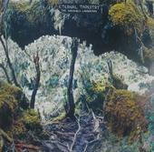 Eternal Tapestry - The Invisible Landscape | Not Not Fun Records (NNF165)