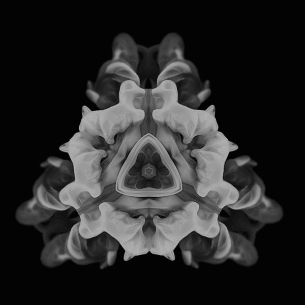 Moi - 06 | MOi (MOI006) - 2