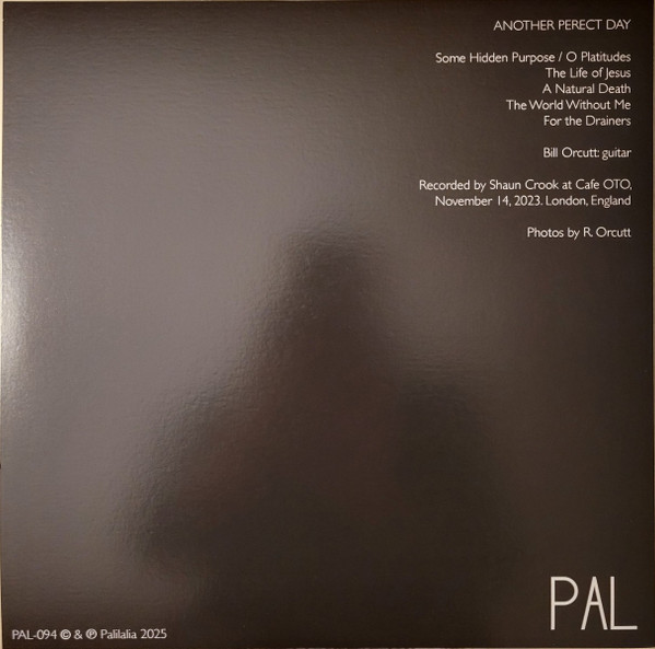 Bill Orcutt - Another Perfect Day | Palilalia Records (PAL-094) - 2 Bill Orcutt - Another Perfect Day | Palilalia Records (PAL-094) - 2