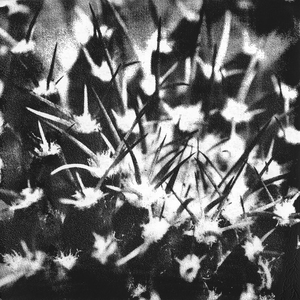 Andrea Belfi - Cera Persa | Latency (LTNC008)