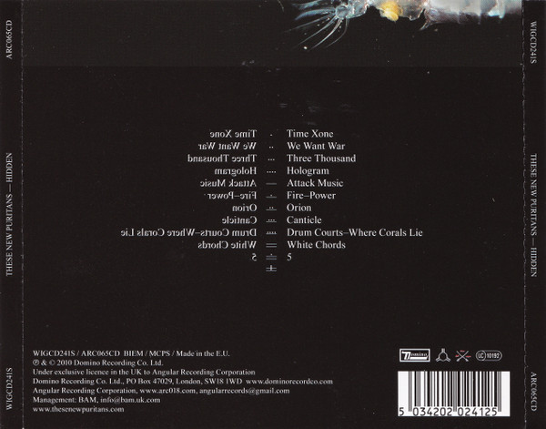 These New Puritans - Hidden | Domino (WIGCD241S) - 2
