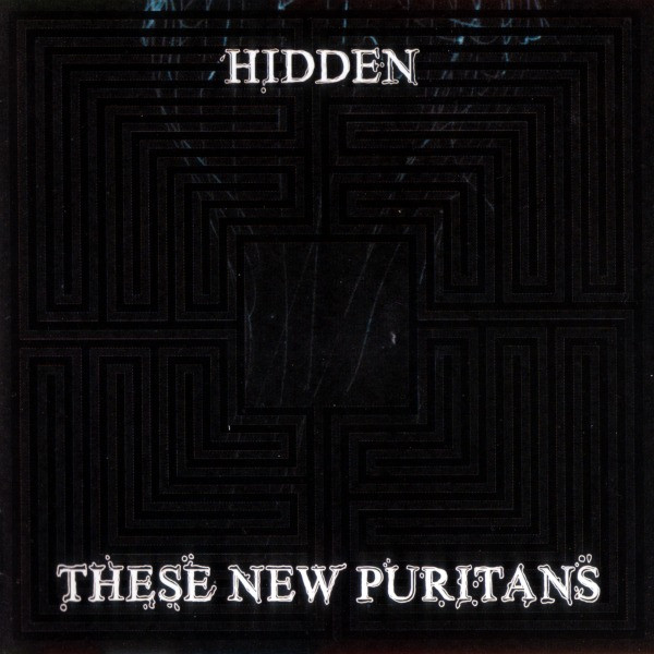 These New Puritans - Hidden | Domino (WIGCD241S) - main