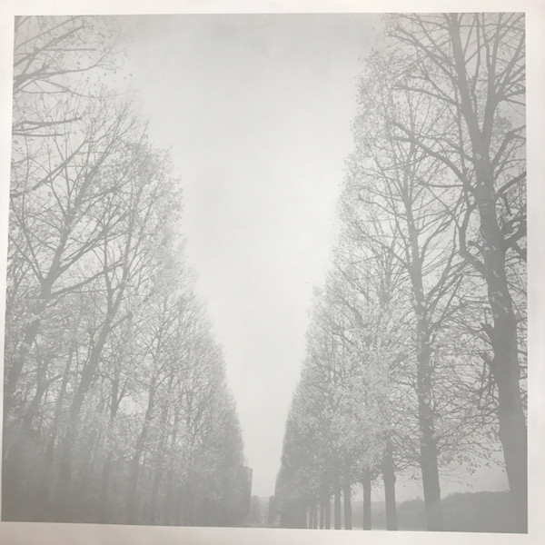 The Feelies - In Between | Bar/None Records (BRN-LP-250) - 3 The Feelies - In Between | Bar/None Records (BRN-LP-250) - 3