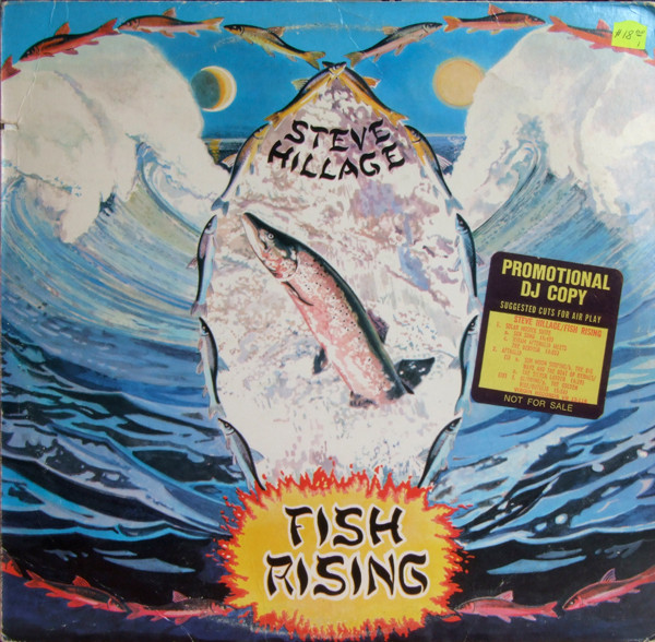 Steve Hillage - Fish Rising | Virgin (VR 13-118) - main