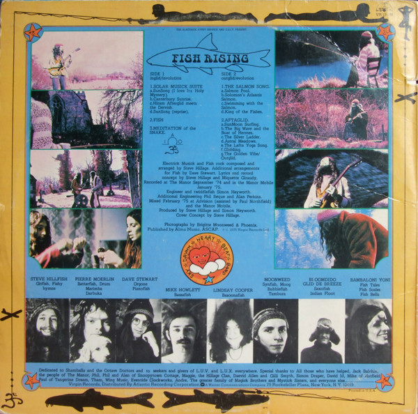 Steve Hillage - Fish Rising | Virgin (VR 13-118) - 2
